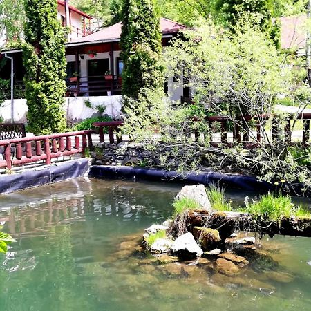 Vila Maria Bran Hotel Simon Ngoại thất bức ảnh