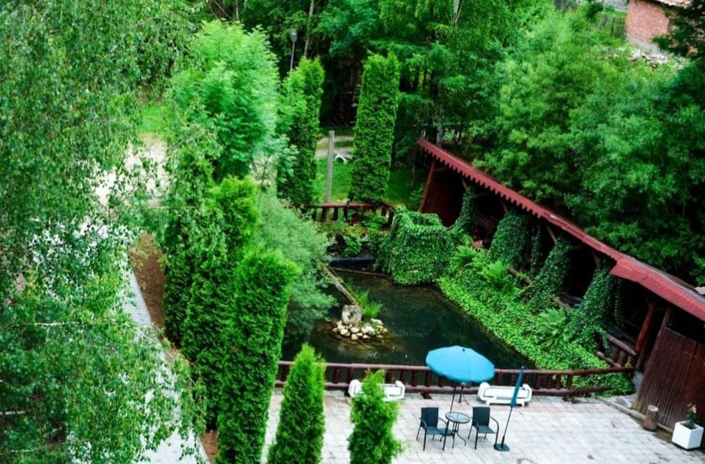 Vila Maria Bran Hotel Simon Ngoại thất bức ảnh