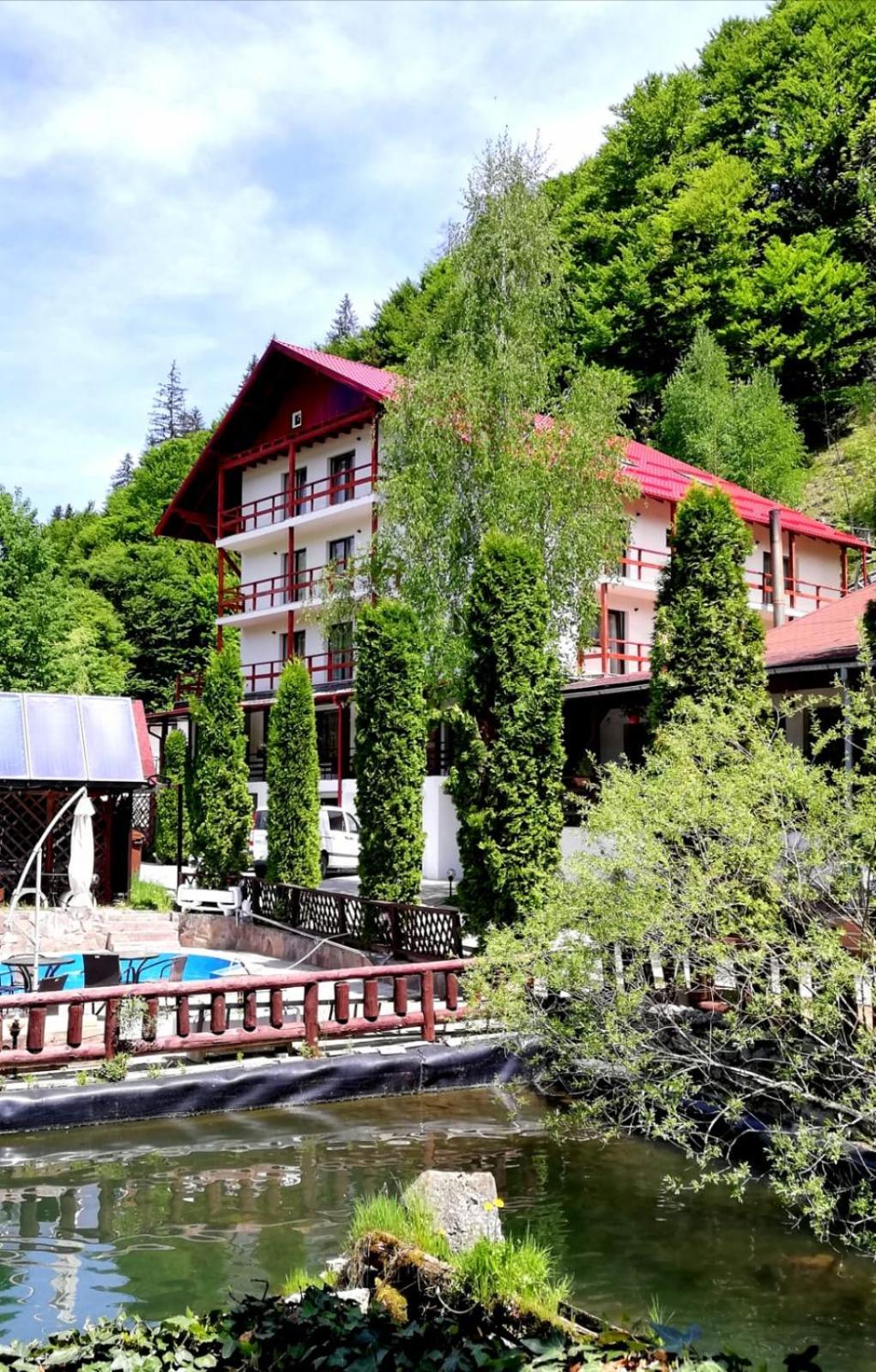 Vila Maria Bran Hotel Simon Ngoại thất bức ảnh